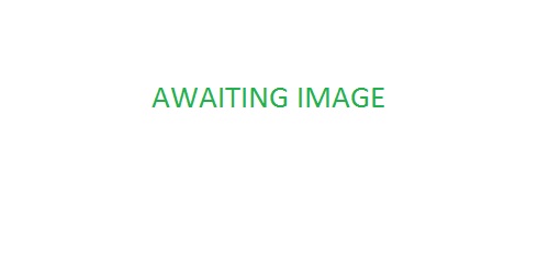Awaiting image